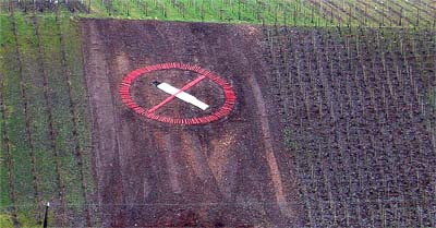 2008-02-26-weinbergskunst3.jpg