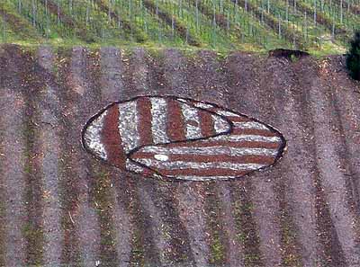 2008-02-26-weinbergskunst4.jpg