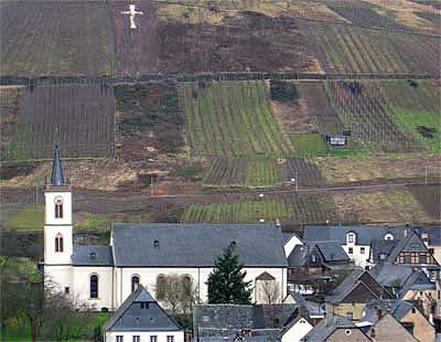 2008-02-26-weinbergskunst5.jpg