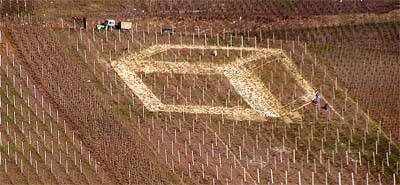 2008-03-08-wurfel1.jpg