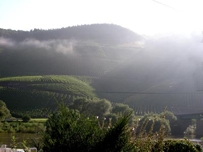 2007-08-23-nebel.jpg