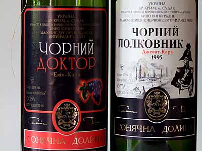 2008-11-16-ukraine.jpg