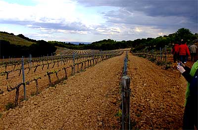 2009-04-16-weinberg-rioja.jpg