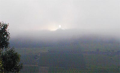 2009-06-30-nebel.jpg