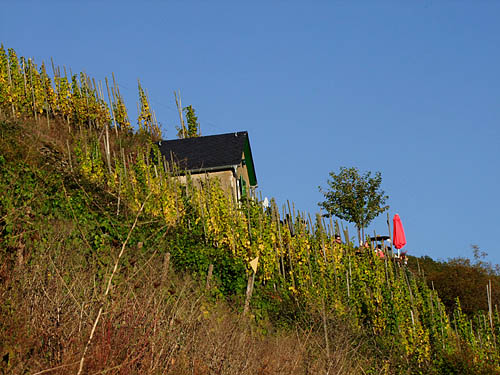 2010-10-03-hutte.jpg