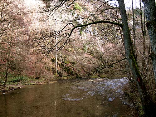 2010-11-20-lieser.jpg