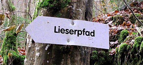 2010-11-20-lieserpfad.jpg