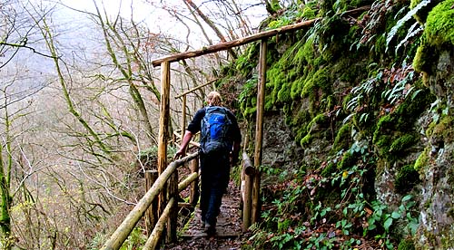 2010-11-20-lieserwandern.jpg