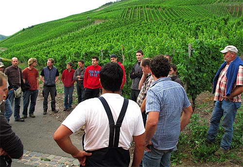 2011-07-14-weinbergsrundgang.jpg