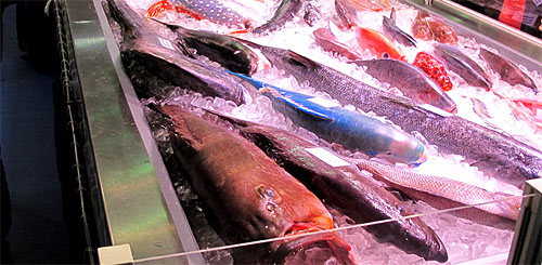 2012-08-31 Fisch