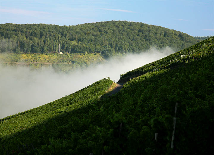 2015-09-02 Nebel