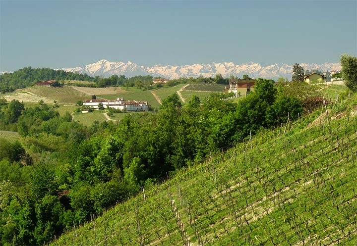 2017-04-25 Barolo Landschaft Alpen