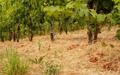 Das Ende der Trockenheit…