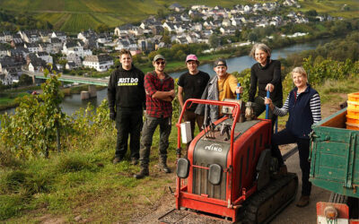 Weinernte 2023: Wir haben fertig!