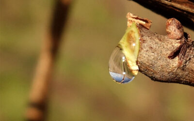 „Und jedem Anfang wohnt ein Zauber inne“
